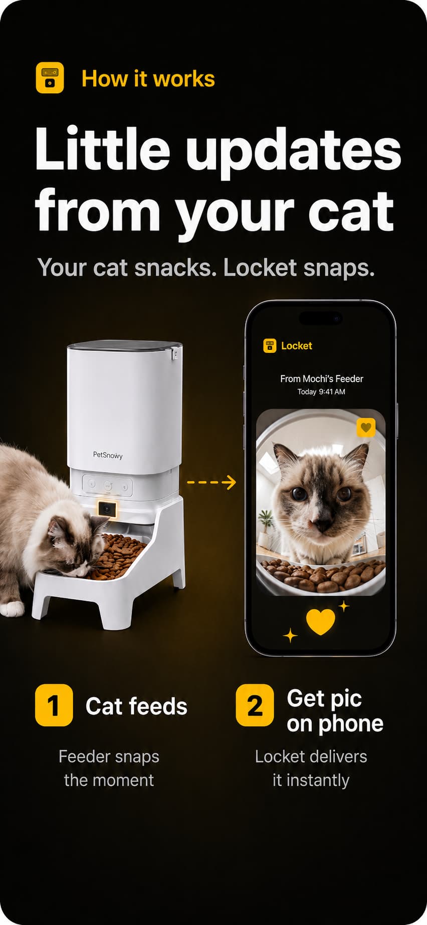 Little updates from your cat — your cat snacks, Locket snaps